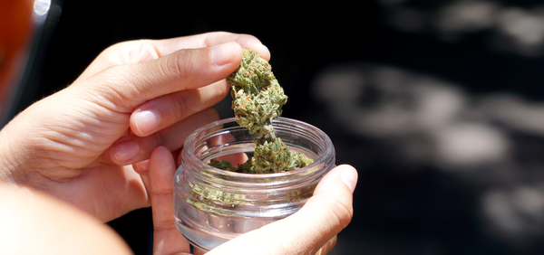 How Long Is Weed Good For?