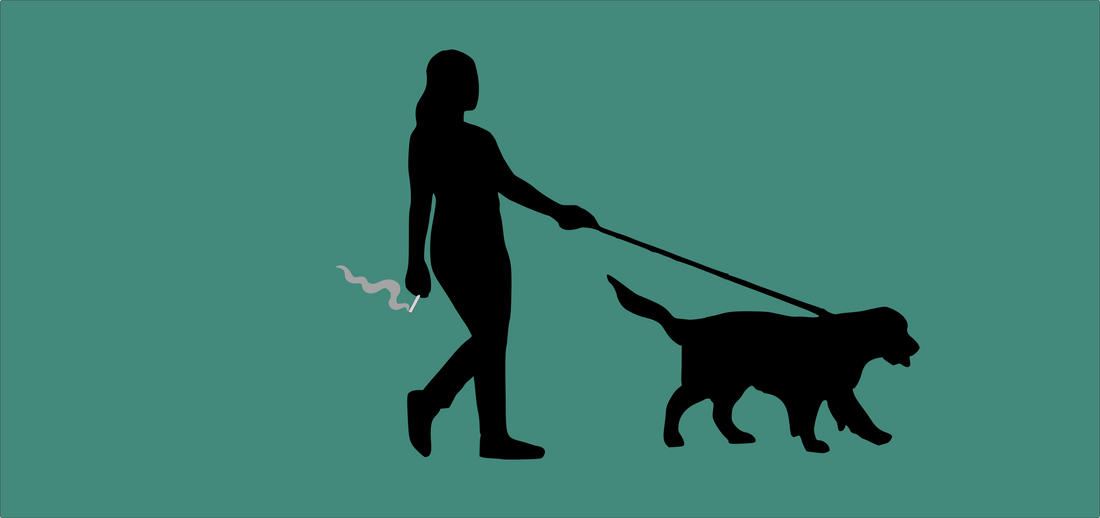What is a Dog Walker Joint?