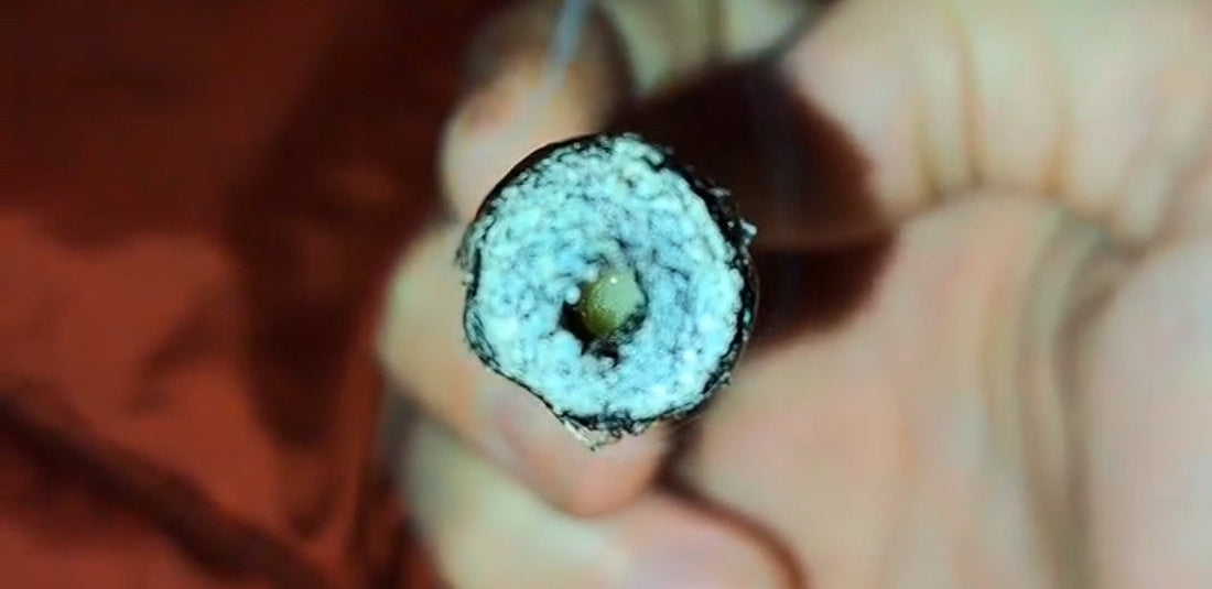 What Is a Hash Hole? Complete Beginner Guide