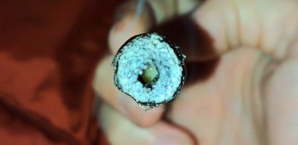 What Is a Hash Hole? Complete Beginner Guide