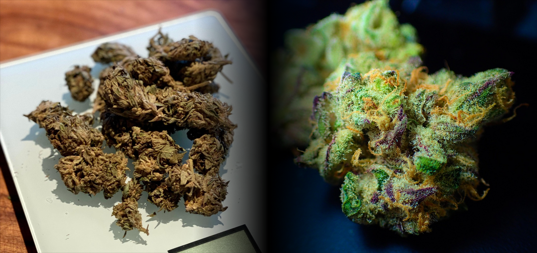 How to Identify Low Quality Cannabis